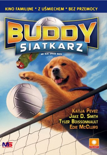 Siatkarz Buddy (2003)